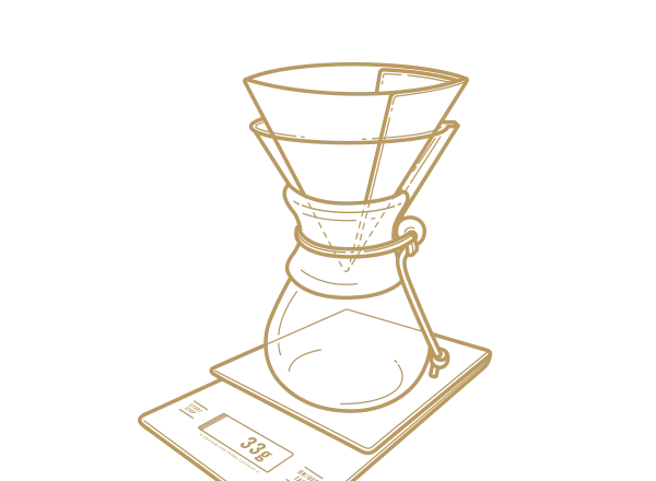 https://www.undergroundcoffee.co.nz/wp-content/uploads/brew-guides-chemex-02-600x440.webp