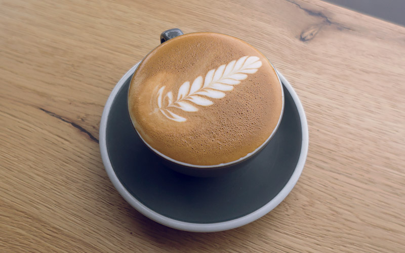 Finished Fern Latte Art Latte Art
