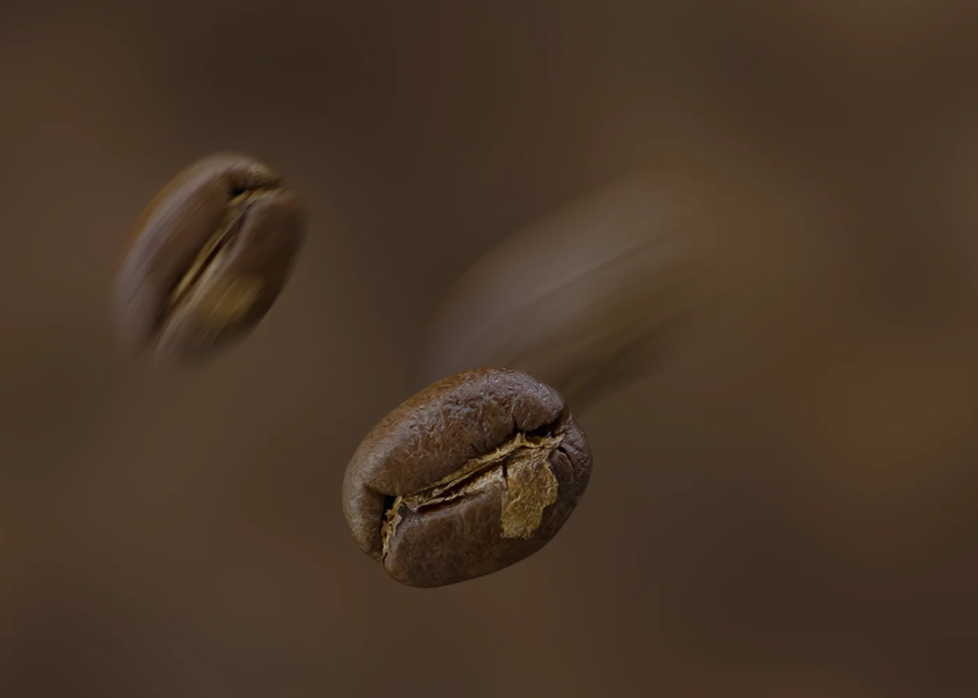 Bean care — Underground Coffee Beans