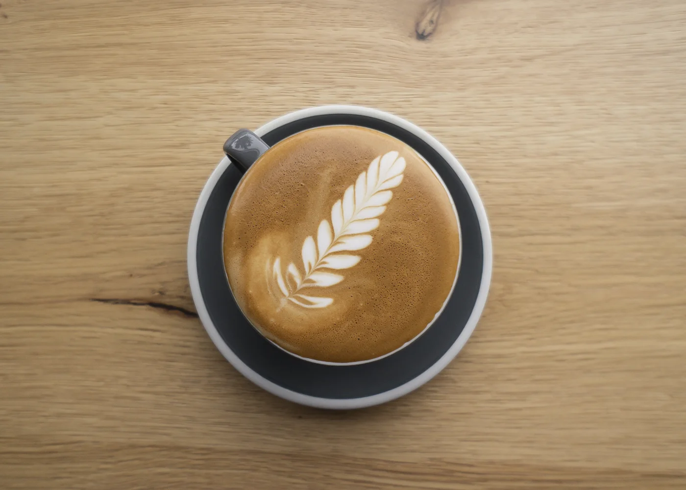 Latte Art : The Fern : Underground Coffee Roasters